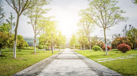 Sunrise in the beautiful park